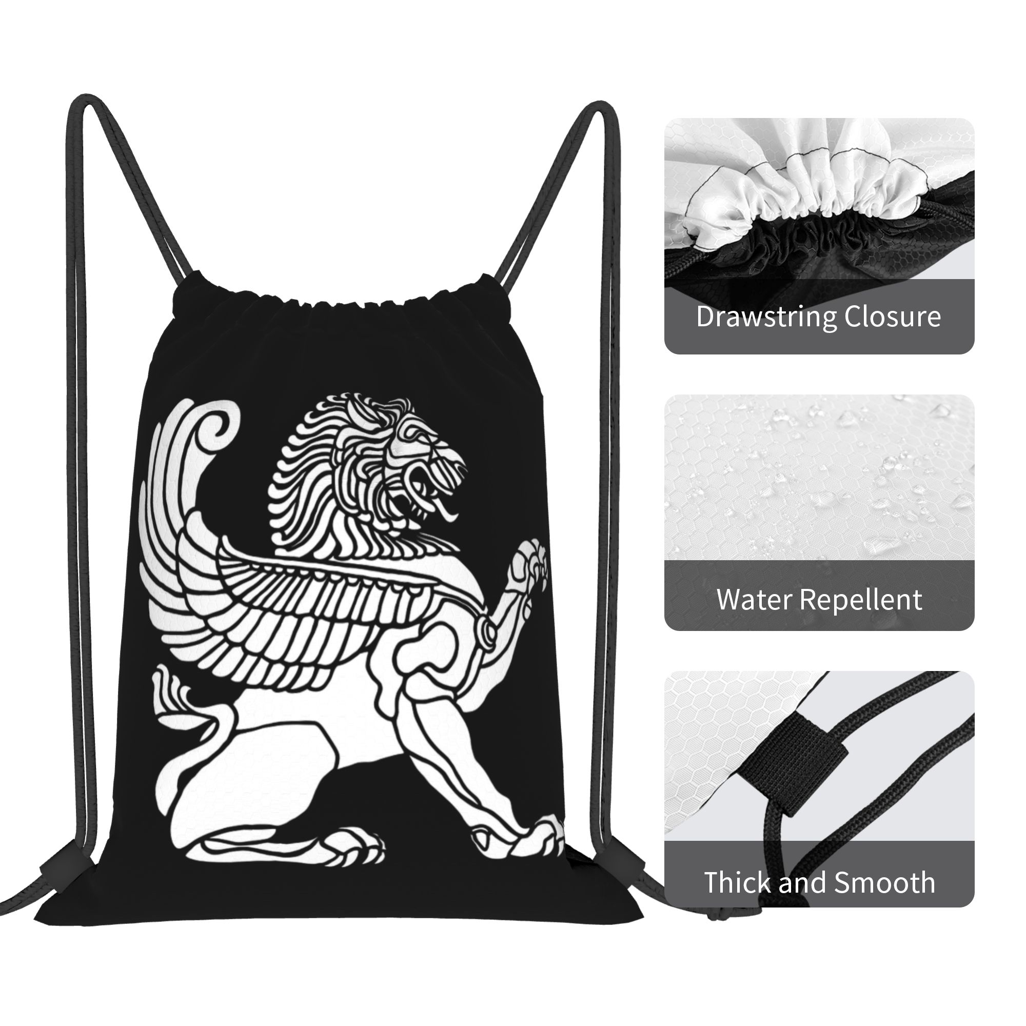 Persian Lion Iranian Iran Pers - Drawstring Gym Bag review and price